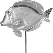 Poisson décoratif, décoration maritime, poisson en métal argenté, couleurs naturelles H28,5cm