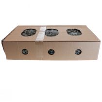 Article Fleurs de lichen naturel 1kg pour décoration intérieure et créations florales
