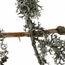 Mousse de lichen mousse grise avec branches 750g