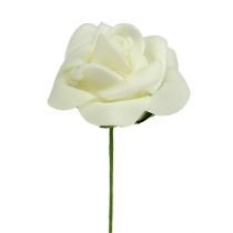 Article Mousse Rose Ø3,5cm Crème 48 pcs