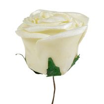 Mélange de roses en mousse nacrée Ø 6 cm, blanc crème rose 24 p.