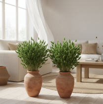 Article Lagurus séché (Queue de lièvre) 65-70 cm 100 g