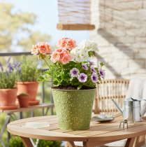 Article Pot de fleurs en métal, jardinière, étoiles, vert et argent, Ø16cm