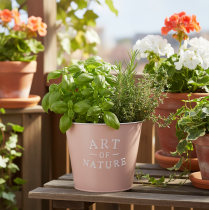 Article Pot de fleurs en zinc "Art of Nature" rose ancien Ø17,5 cm H15 cm