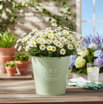Article Cache-pot en métal vert menthe "Art of Nature" Ø22 cm H21 cm