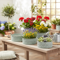 Article Bol décoratif en métal avec anses, pot de fleurs vintage, lot de 3