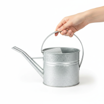 Article Arrosoir décoratif vintage, métal argenté, pot de fleurs de 1,25 l
