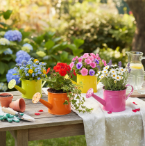 Article Arrosoir décoratif coloré, Ø 11 cm, H 9,5 cm, pour le jardinage, décoration de table printanière, en métal, lot de 8