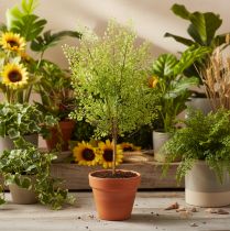 Article Branche artificielle de ruscus vert 41 cm pour décoration florale