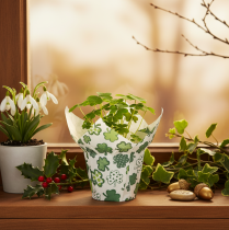 Article Pot décoratif en papier motif trèfle vert et blanc 12cm lot de 12
