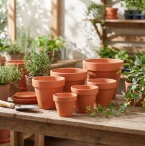 Article Pots en terre cuite terracotta - Lot de 10
