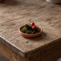 Article Soucoupe en terre cuite Ø6,2cm pour pots de fleurs et terrariums