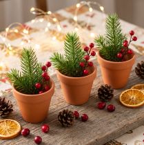 Article Mini-pots en terre cuite Ø3,5cm H3cm par 10