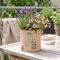 Article Pot décoratif en métal saumon effet vintage Ø11cm H10,5cm