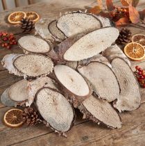 Article Mini rondelles ovales en bois de bouleau naturel 4 à 9 cm – 450 g