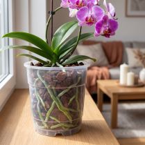 Article Lot de 10 pots transparents pour orchidées Ø15cm