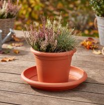 Article Soucoupe ronde en plastique terracotta Ø30 cm pour pots de fleurs