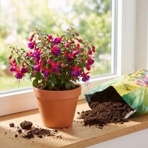 Article FlorBest Terreau de Jardinage avec Argile Naturelle et Engrais Longue Durée 5L