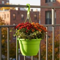 Article Suspension pour plante en plastique vert Ø25cm