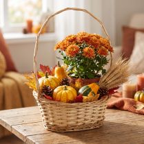 Article Panier en osier clair avec poignée, 30 x 23 cm