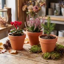 Article Lot de 10 petits pots en terre cuite Ø9cm hauteur 8cm