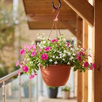 Article Suspension pour plantes en plastique terracotta Ø30cm