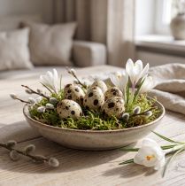 Article Oeufs de caille décoratifs naturels vides - 50 pièces