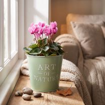 Article Pot en métal couleur vert menthe avec inscription "Art of Nature" Ø15 cm H13,5 cm
