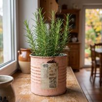 Article Petit pot décoratif en métal finition vintage saumon Ø8 cm H7,5 cm