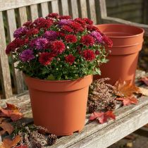 Article Lot de 10 pots de fleurs en plastique terracotta Ø23 cm