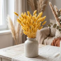 Article Lagurus jaune séché 40-55 cm 25 g