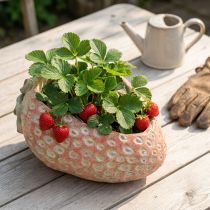 Article Pot décoratif en forme de fraise en béton, 17 cm