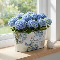 Article Coupe ovale en plastique motif hortensias 21,5×12,5 cm