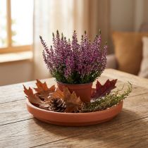 Article Soucoupe en céramique terracotta Ø17,5cm