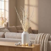 Article Mitsumata branches décoratives blanches 34-60 cm - Lot de 12