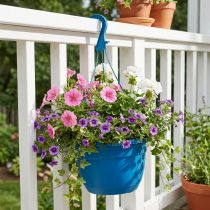 Article Suspension pour Plantes 25 cm en Plastique Bleu