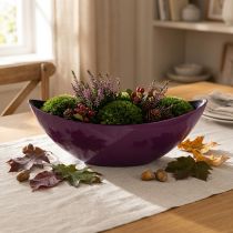 Article Coupelle en plastique pour plantes violette 38,5×12,5×13 cm