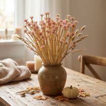 Article Fleurs Artificielles Immortelles Roses 28 cm