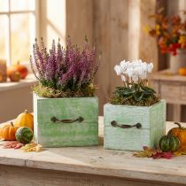Article Pots en bois style tiroir vert clair 12x12cm et 15x15cm lot de 2