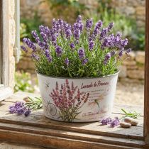 Article Cache-pot rond en plastique avec motif lavande Ø21 cm H11 cm
