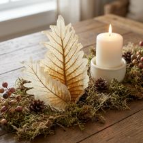 Article Lot de 35 feuilles de chêne naturelles séchées et blanchies – 22 x 12 cm