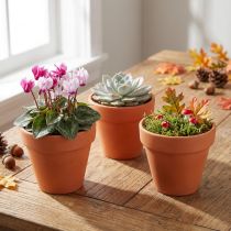 Article Lot de 10 mini pots en terre cuite Ø6cm x H5cm