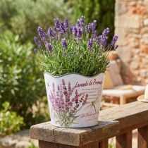 Article Pot décoratif en plastique motif lavande Ø16,5cm H13,5cm