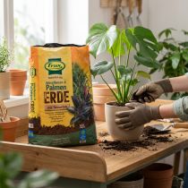 Article Terreau spécial plantes vertes et palmiers avec engrais longue durée 10L