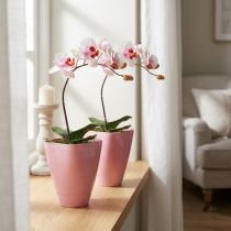 Article Pot en plastique rose pour orchidées H16,5 cm - Lot de 2