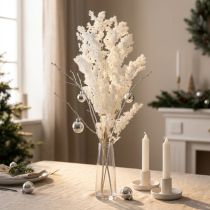 Article Fleurs séchées de Sparagus blanc conservé 55-70 cm 100 g