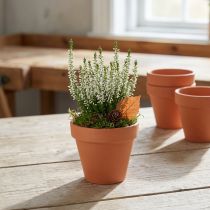 Article Lot de 10 petits pots en terre cuite Ø8cm H7cm