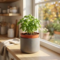 Article Pots en plastique terracotta Ø10,5 cm - Lot de 10