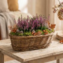 Article Panier ovale en osier naturel avec doublure plastique 30 cm