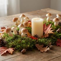 Article Décoration Champignon sur Tige 3 cm à 5 cm - Lot de 24